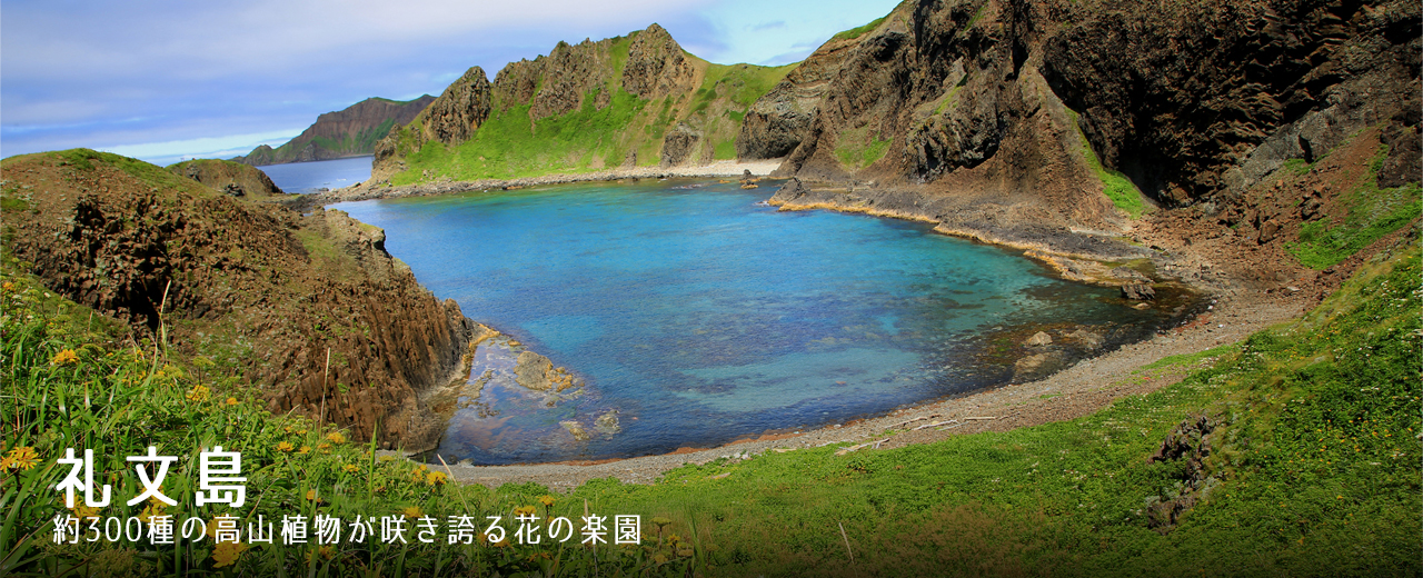 離島カード 北海道 礼文島 離島カード』の発行 - 総合政策部地域創生局地域政策課